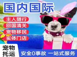 梅县航空物流国际宠物托运 【国